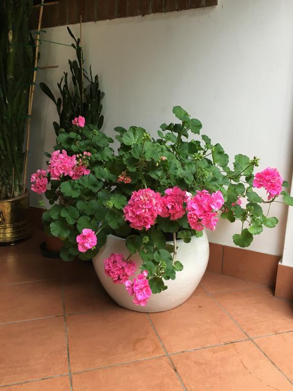 Agriturismo Da Ninoti เตรวิโซ ภายนอก รูปภาพ